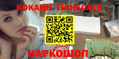 крисы Гай