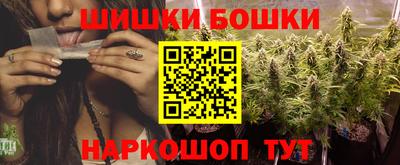 индика Гагарин