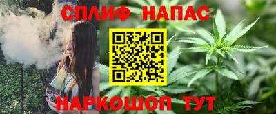 МДПВ Гатчина