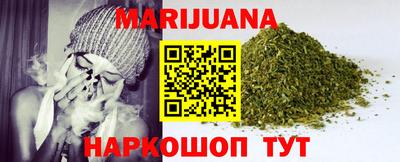 крисы Гай