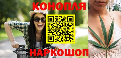 крисы Гай
