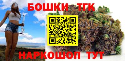 индика Гагарин