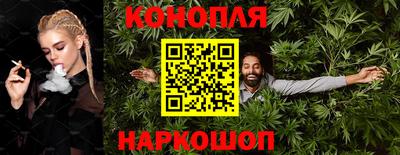 крисы Гай