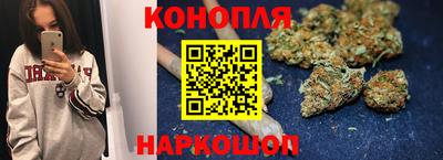 крисы Гай