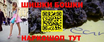 МДПВ Гатчина