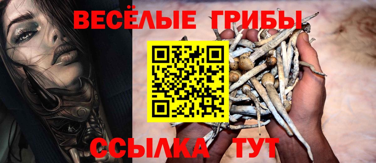 Галлюциногенные грибы GOLDEN TEACHER  Псилоцибиновые грибы мицелий  Рассказово  наркотики  Вход с VPN 